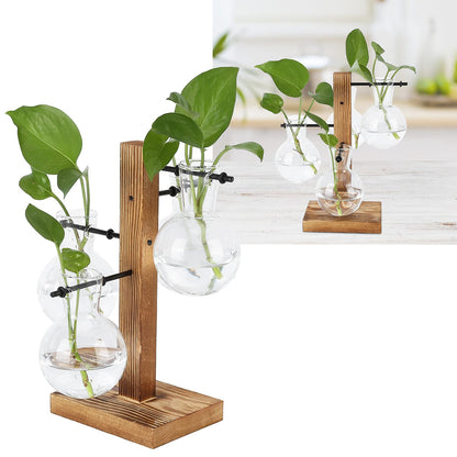 Glass Planter Bulb Vase, Innovative Hydroponic Vase Desktop Plant Terrarium Kit with Wooden Stand Transparent Desktop Flower Vase for Home