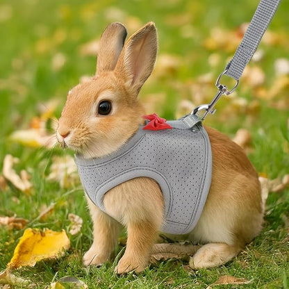 Pink Rabbit Harness and Leash Set, with Cute Bow Soft Breathable Mesh Bunny Vest Harness for Rabbits Kitten Ferret Puppy Small Pets Walking, M