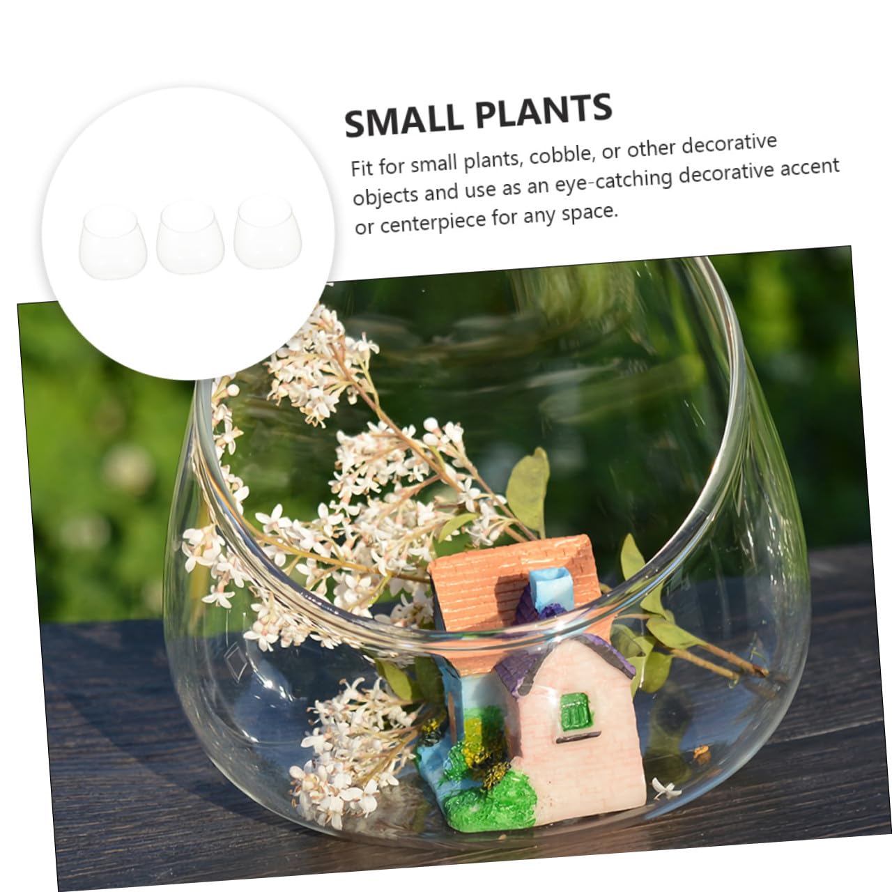 OSALADI 3pcs Slant Cut Glass Bottle Terrarium for Succulent Micro Landscape Display, Eco-Friendly Tabletop Glass Plant Vase for Home Office Décor