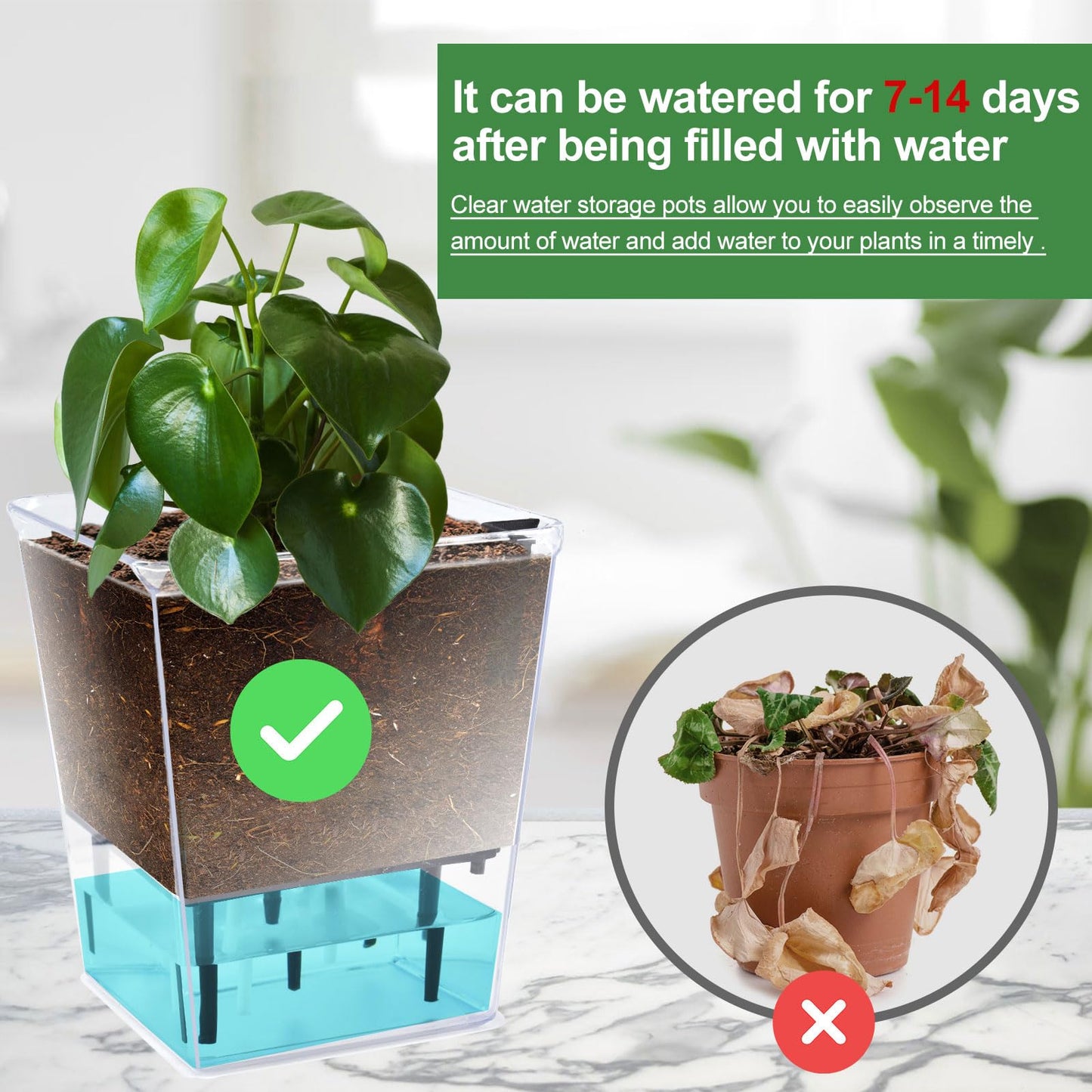 IWNTWY Self Watering Pots Set, 3 Pack 5 Inch for Indoor Plants, Clear Nursery Planter With Deep Reservoir for Spider Plant, Orchid, African Violet