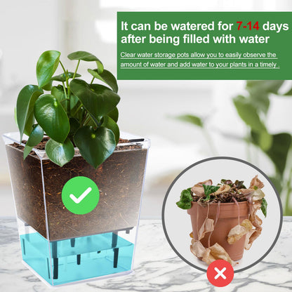 IWNTWY Self Watering Pots Set, 3 Pack 5 Inch for Indoor Plants, Clear Nursery Planter With Deep Reservoir for Spider Plant, Orchid, African Violet