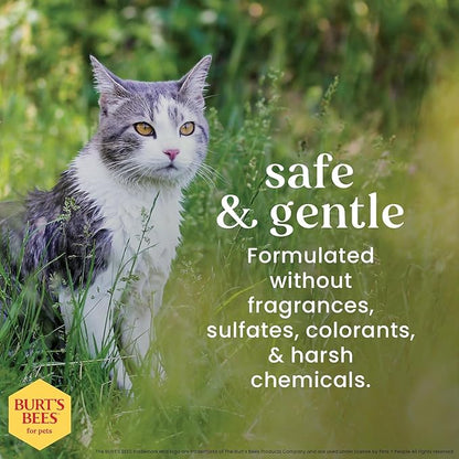 Burt's Bees for Pets Waterless Cat Shampoo Spray, No-Rinse Cat Dry Shampoo with Shea Butter & Honey for Gentle Cleaning Between Baths, pH Balanced, No Harsh Detergents, 10 Fl Oz