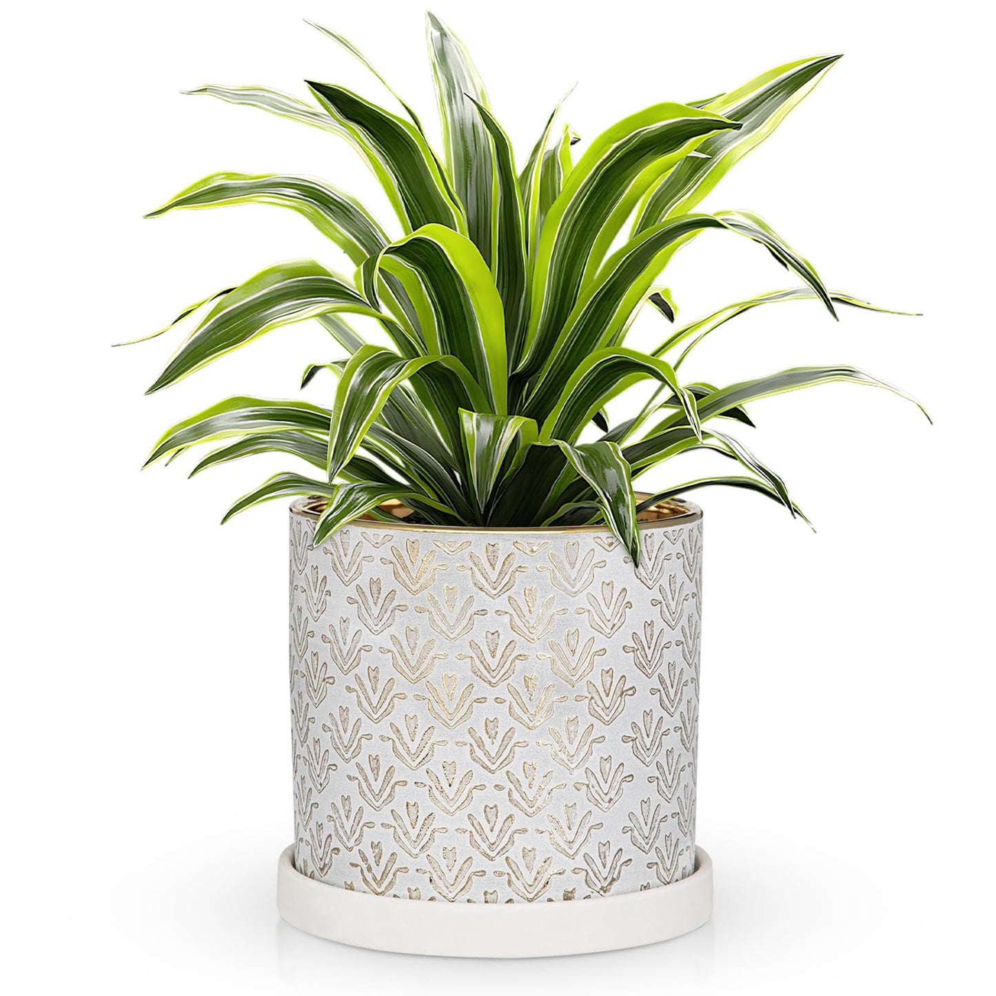 Ceramic Plant Pots with Drainage Hole & Saucer, Gold & White Ceramic Planter Pot for Indoor & Outdoor, 5.5 Inch Small Plant Pots Decorative Flower Pot for Herbs, Cactus, Orchids, Succulents Planters
