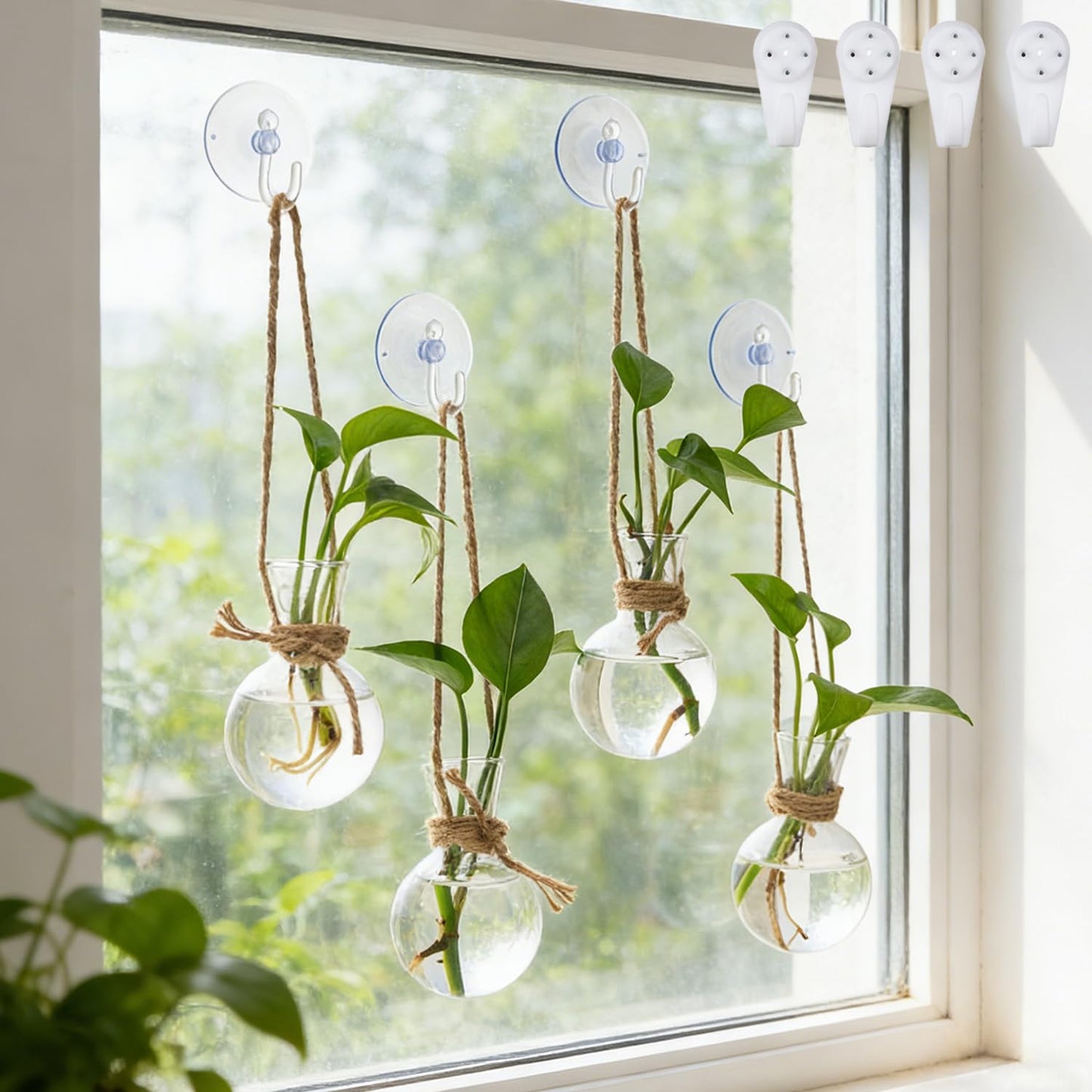 Bunmery 4 PCS Window Propagation Stations, Glass Plant Propagation Bulbs Vases with Suction Cups & Traceless Nails, Easy to Install Window Wall Hanging Planter Terrarium Vase for Home Office Decor