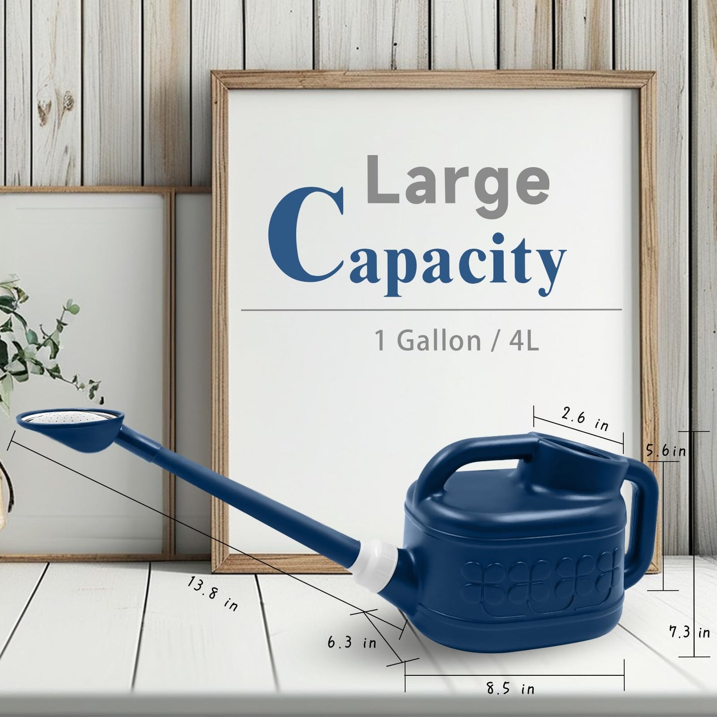 1 Gallon Watering Can, Garden Watering Can Outdoor, Plant Water Can with Removable Long Spout and Stainless Steel Sprinkler Head, Plastic Indoor Watering Cans for Gardening Flower Plants