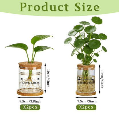 SPRFAIRY 4 Set Glass Plant Propagation Station for Plants - 2 Large & 2 Small for Plant Cuttings Hydroponic Vases with Lid & Bamboo Stand Desktop Propagation Vases for Living Room, Bedroom, Office