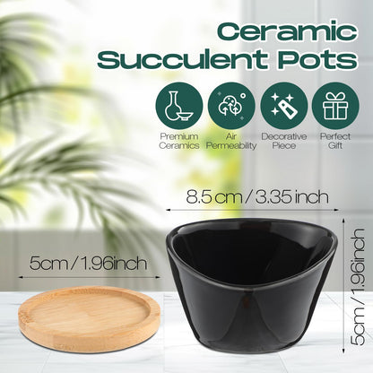 Domensi 12 Pack Succulent Planter Pots 3 Inch Small Plant Pots Mini Ceramic Succulent Planter Holder with Drainage Holes and Bamboo Saucers (White)