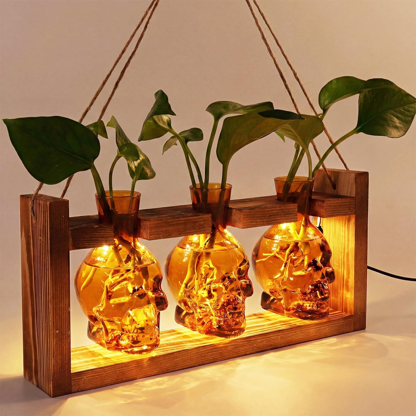 Skull Plant Propagation Station with LED Lights - Halloween Decor Skull Planter, Hydroponics Pot for Office, Unique Gifts for Women & Plant Lovers(Amber)