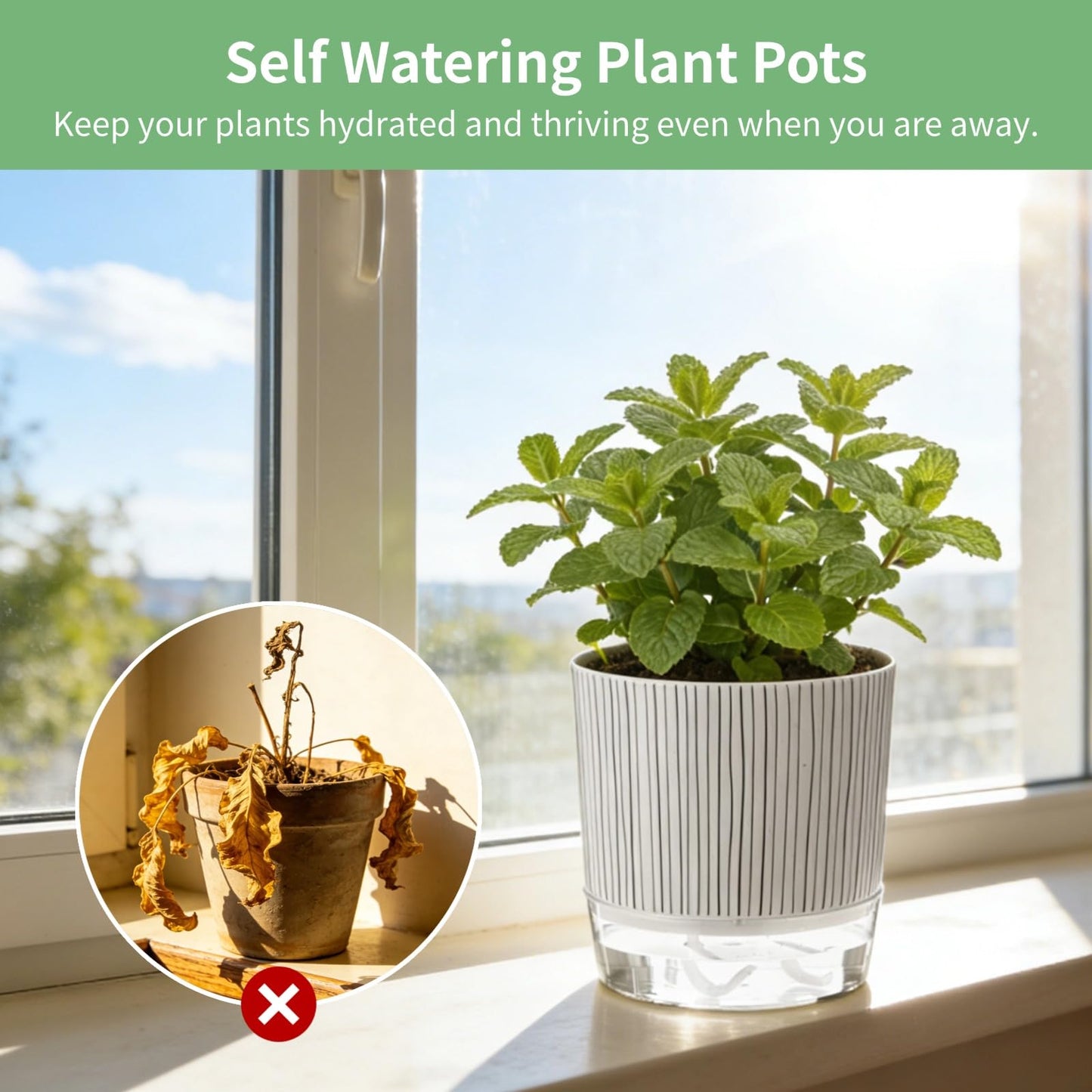 NIMBLOOM 6 Pcs Self-Watering Plant Pots, Plastic Flower Pots with Wick Rope & Reservoir for Indoor Plants, African Violet Planters for Desk, Windowsill, Garden