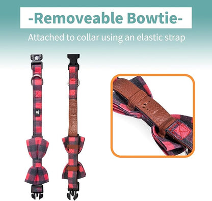 IVY&LANE Dog Collar with Bowtie and Leash Set | Plaid Adjustable Dog Collar | Detachable Bow Tie |5 FT Dog Leash | for Small Medium Large Dogs | Checkered Red | Small