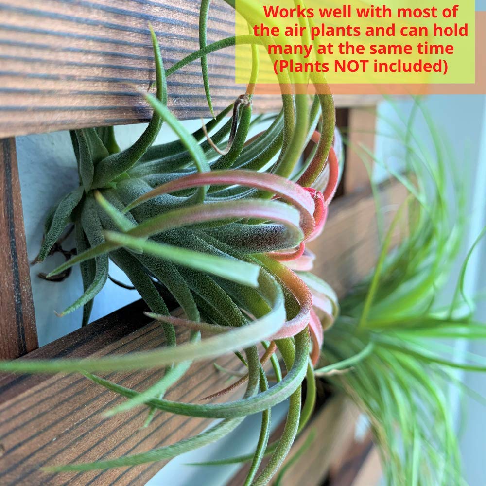 ShopLaLa Wall Planter - Hanging Wooden Wall Planter for Indoor Outdoor Plants, Vertical Garden, Plant Wall Mount Planter, Air Plant Succulent Holder for Flower Pot Display Hanger Frame 47.2" (120cm)