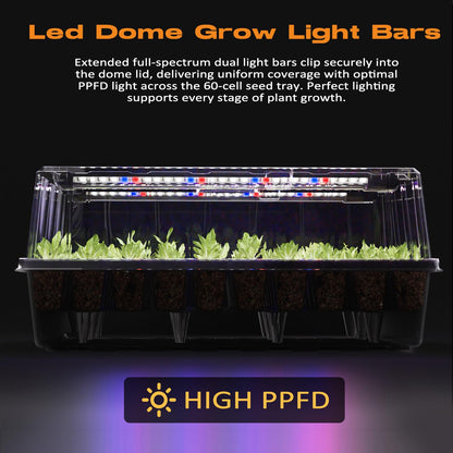 Patigrow 60-Cell Self-Watering Seed Starter Tray with Grow Light, Seed Starter Kit with 4.07” Humidity Dome, Indoor Seedling Starter Tray, Seed Starting Trays for Plant Germination, Seeds Growing