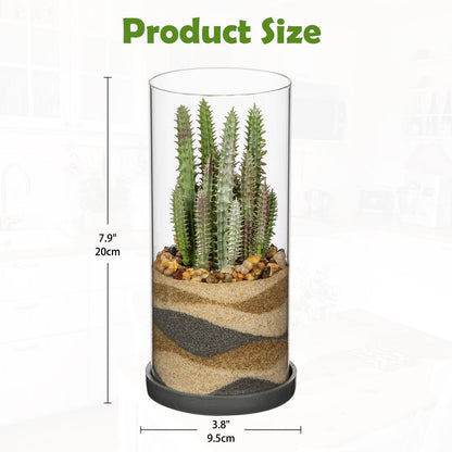 GnFlus Artificial Succulent in Cylindrical Glass Vase Fake Cactus Plant with Modern Glass Terrarium for Home Decor Farmhouse Hostess Gift