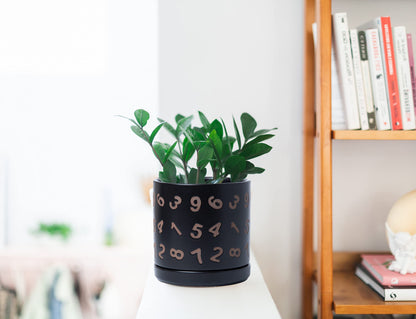 D'vine Dev Set of 2 Ceramic Planter Pots with Drainage Hole and Saucer, 6 Inch Plant Pots for Plants Indoor Houseplants, Black, 99-Z-B-2-Y