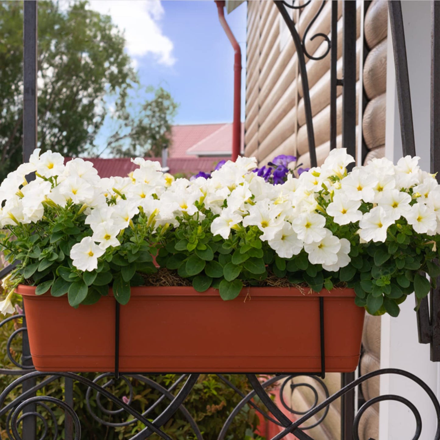 HOXHA Window Box Planter, 6 Pack 17inch Plastic Vegetable Flower Planter Boxes with Tray, Indoor Outdoor Flower Pots for Windowsill, Patio, Porch, Garden Balcony, Dark Gray