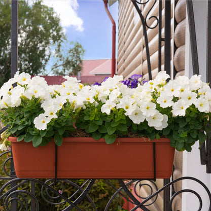 HOXHA Window Box Planter, 6 Pack 17inch Plastic Vegetable Flower Planter Boxes with Tray, Indoor Outdoor Flower Pots for Windowsill, Patio, Porch, Garden Balcony, Dark Gray