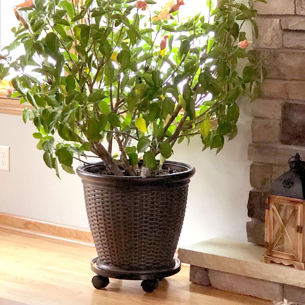 AMAGABELI GARDEN & HOME Plant Caddy with Wheels Heavy Duty 14“ 2 Pack Rolling Plant Stand Plant Dolly Iron Wheeled Lockable Casters Round Pot Mover Rollers Indoor Outdoor Planter Trolley Metal