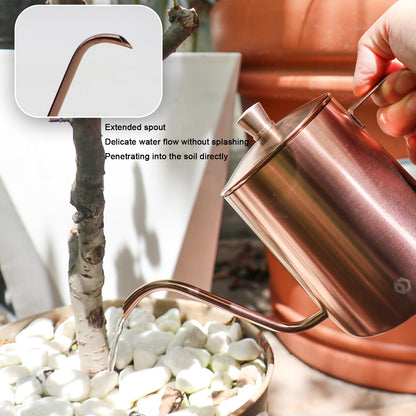 OFFIDIX Watering Can for Indoor Plants Long Spout Metal Stainless Steel 21 oz Small Watering Can with 14 oz Glass Plant Mister Spray Bottle for Plants Bonsai
