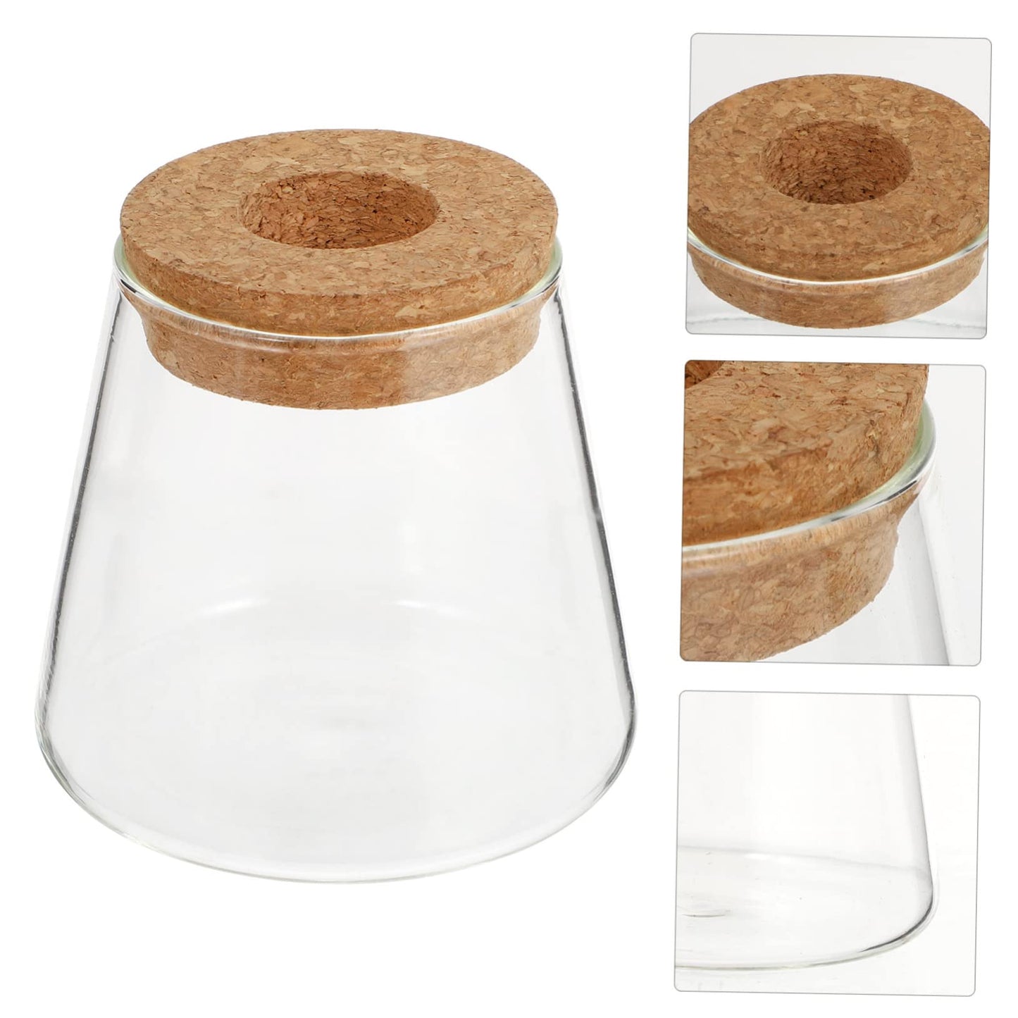 PRETYZOOM 2Pcs Glass Hydroponic Plant Vases for Desktop Home Decoration Clear Smooth Glass Terrarium for Floral Arrangement Office Plant Propagation Jar Unique Design