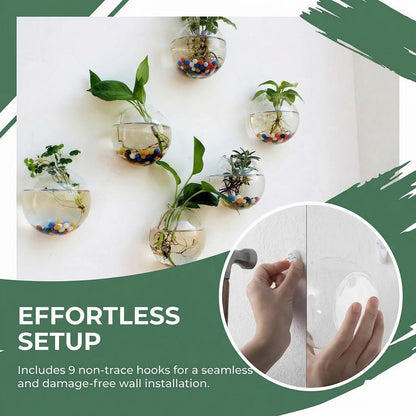 Yarlung 6 Pack Wall Hanging Planters Terrarium, 4.7 Inch Glass Oblate Globe Plants Containers, Wall Mount Clear Flower Vase for Propagating Hydroponics Plants, Air Plants (Plants Not Included)