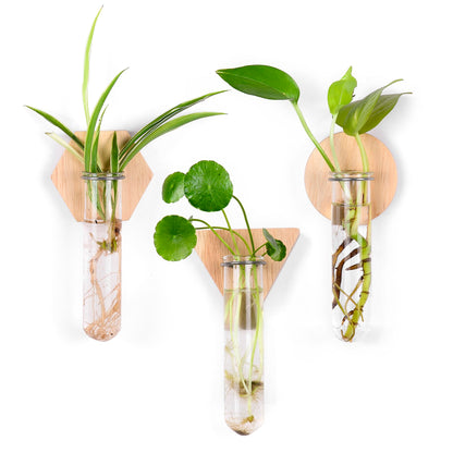 MITIME Wall Hanging Glass Planter Plant Propagation Station, Geometric Wooden Stand for Home Office Decoration