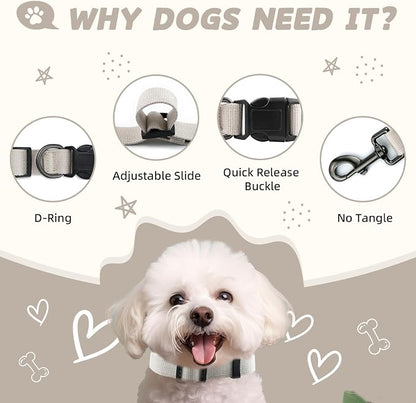 Beidge Dog Collar and Leash Set for Small Dogs, Breathable, Anti-Odor & Soft, Comfortable for Sensitive Skin Puppies, 90% Bamboo Rayon, Quick Release Buckle Pet Collar for Chihuahuas Frenchie