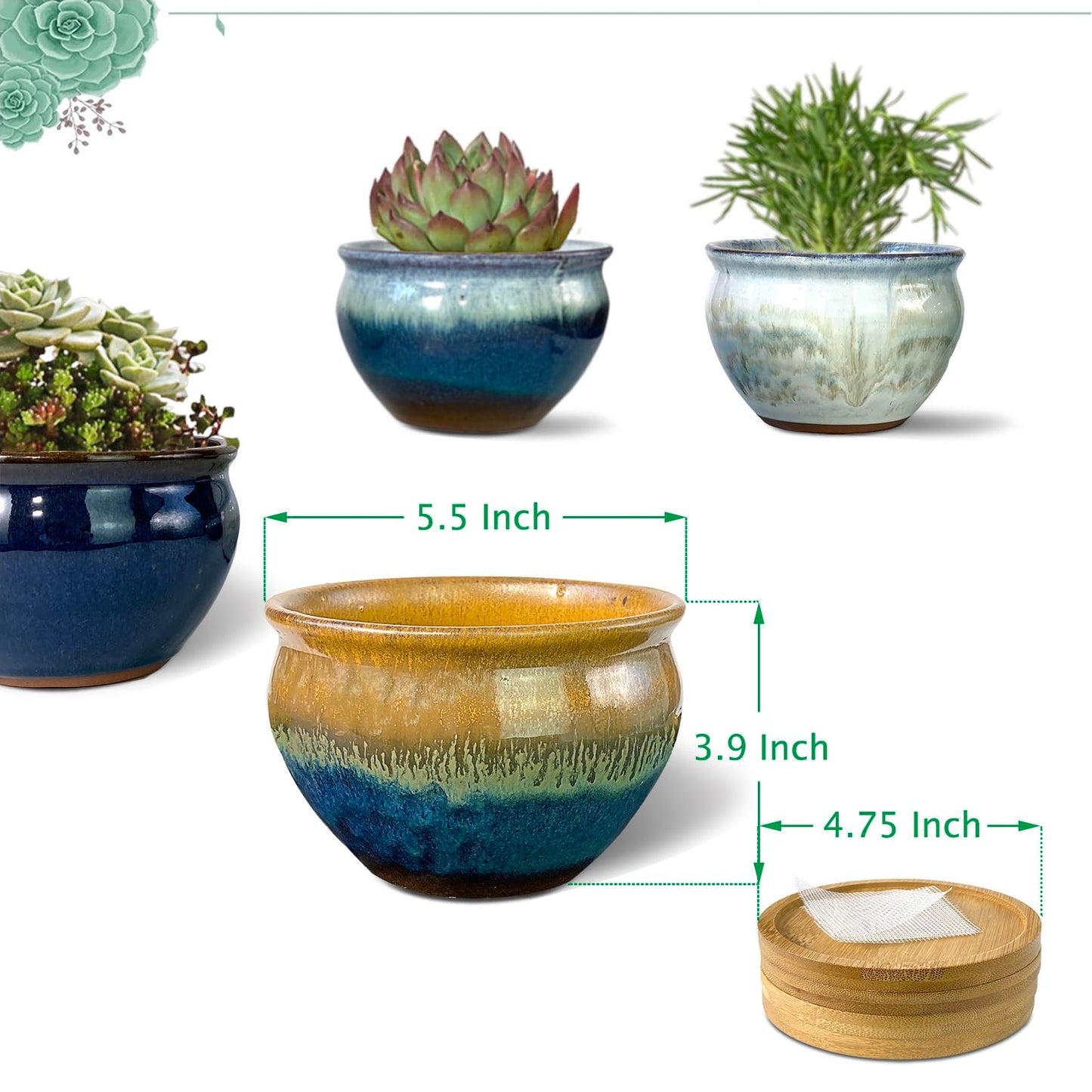 Summer Impressions 5.5 Inch Succulent Pot with Drainage and Saucer Glazed Terracotta Round Ceramic Succulent Planter Cactus Bonsai Plant Pot (Set of 4)