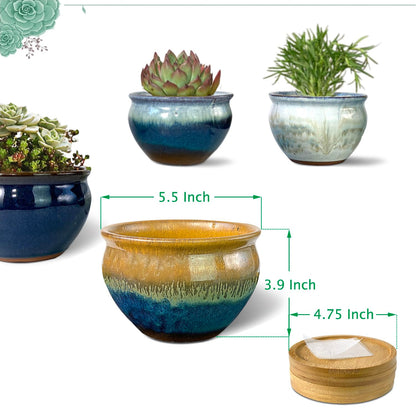 Summer Impressions 5.5 Inch Succulent Pot with Drainage and Saucer Glazed Terracotta Round Ceramic Succulent Planter Cactus Bonsai Plant Pot (Set of 4)