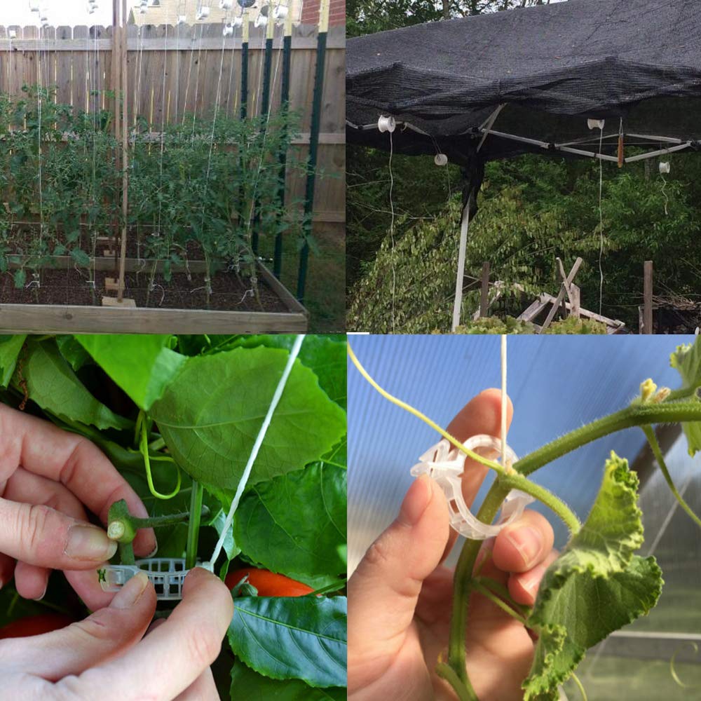 Greenhouse Trellising Kit 10PCS Plant Roller Hooks with 100PCS Tomato Support Clips for Tomato,Plant, Greenhouse,Flower Vine Twine Crop Trellis Kits