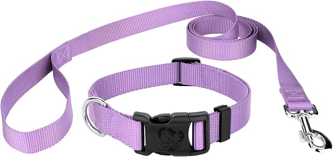 Country Brook Petz - Everyday Nylon Dog Collar and Leash - 10+ Cool Colors (3/4 Inch, Small, Lavender)
