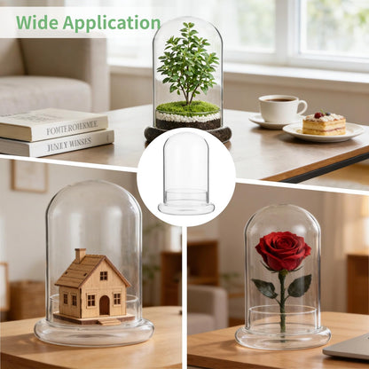 Glass Display Cloche Dome, 8.3 x 5.9 in Plant Terrarium Container with Base, Clear Glass Cover, Decorative Tabletop Display Case for Plants, Flowers, Collectibles & Keepsakes