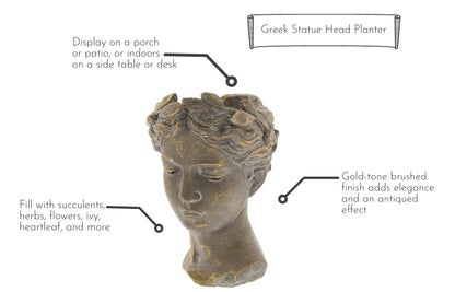 Lucky Winner Greek/Roman Style Female Statue Head Cement Planter - Unique Planter Pot for Indoor Outdoor Home Garden Decor (10.5")