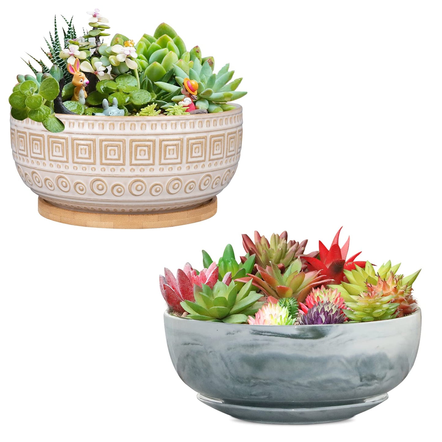 G EPGardening 8 Inch Ceramic Succulent Planter Pots Round Shallow Bonsai Planter Pot for Indoor Plants with Drainage and Plant Saucer