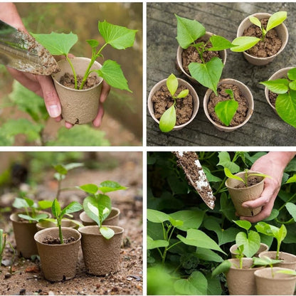 GardEasy 120PCS 3.15 Inch Peat Pots for Seedling, Outdoor Garden Germination Nursery Peat Pots Plants with Bonus 20 Plant Labels