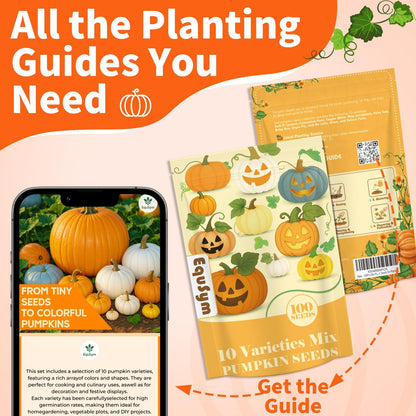 10 Variety Mix Pumpkin Seeds for Planting - 100 Heirloom Seeds, Baby Boo, Blue Jarrahdale, Jack Be Little, Jack O Lantern, Sugar Pie, Yellow Paris for Summer & Fall, Non GMO Pumpkin Seed