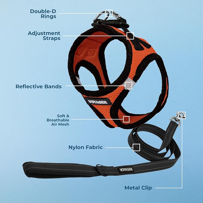 Best Pet Supplies Voyager Step-in Air All Weather Mesh Harness and Reflective Dog 5ft Leash Combo with Neoprene Handle, for Small, Medium and Large Breed Puppies - Orange/Black Trim, X-Small