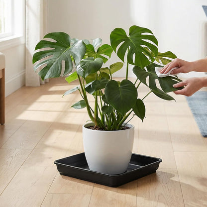 GINLANK 15 Pcs 10 Inch Square Plant Saucer, Square Pot Water Catcher Tray with no Drain Holes, Plastic Drip Trays for Indoors, Outdoors, Patio, Black
