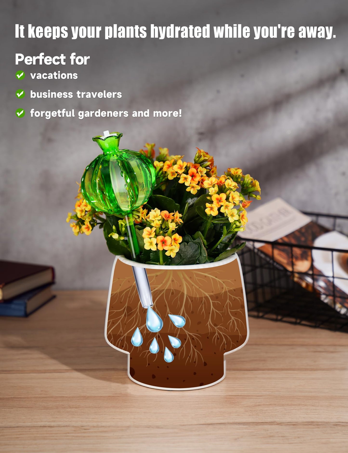NiHome (2 Small + 2 Large) Plant Watering Globes 4-Pack, Glass Waterer for Potted Plants, Green Glass Cactus Self Watering Globe, Automatic Mini Irrigation System