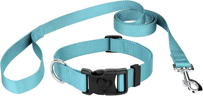 Country Brook Petz - Everyday Nylon Dog Collar and Leash - 10+ Cool Colors (3/8 Inch, Extra Small, Ocean Blue)