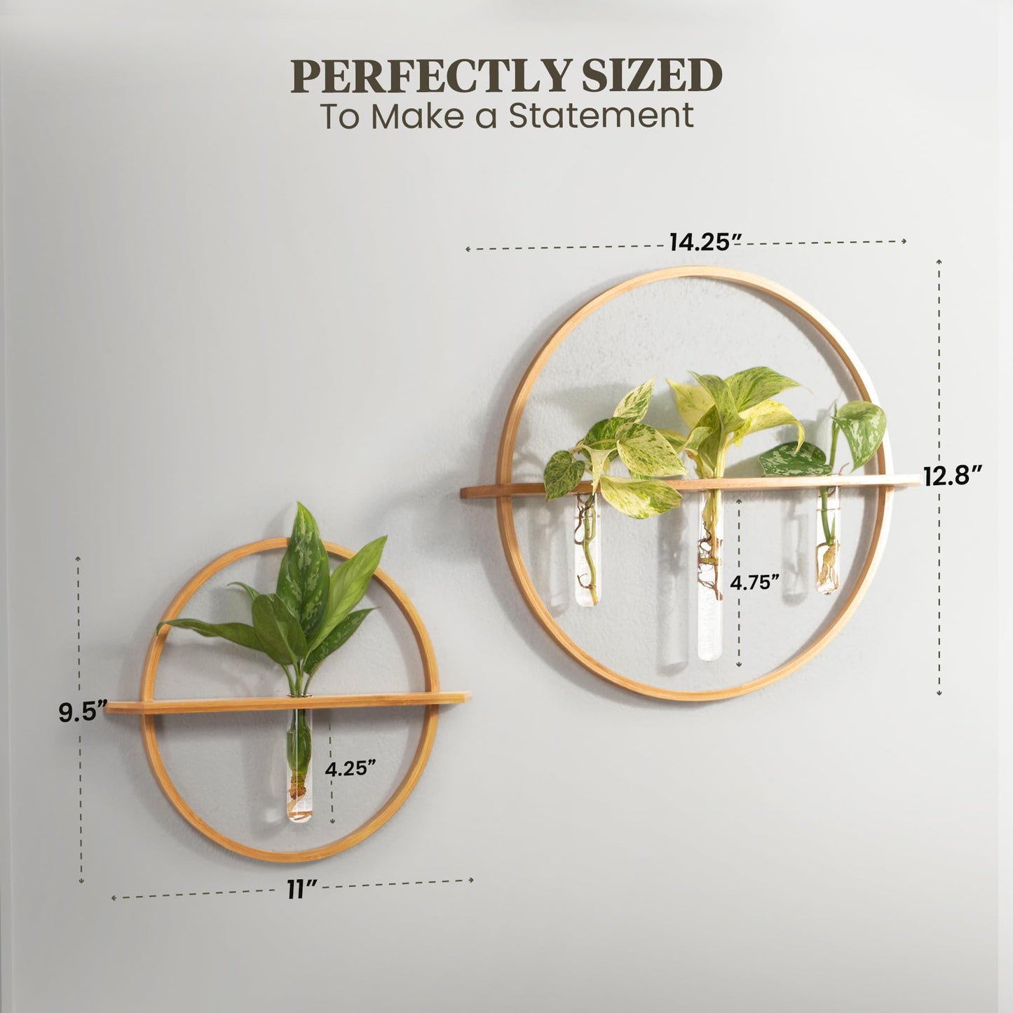 Bohemian Roots Plant Propagation Stations - Set of 3 Bamboo Wall Planters for Indoor Plants with 5 Glass Plant Propagation Tubes | Propagation Vases for Plants | Aesthetic Plant Wall Decor