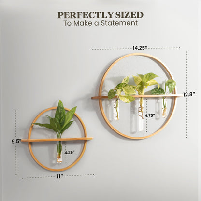 Bohemian Roots Plant Propagation Stations - Set of 3 Bamboo Wall Planters for Indoor Plants with 5 Glass Plant Propagation Tubes | Propagation Vases for Plants | Aesthetic Plant Wall Decor
