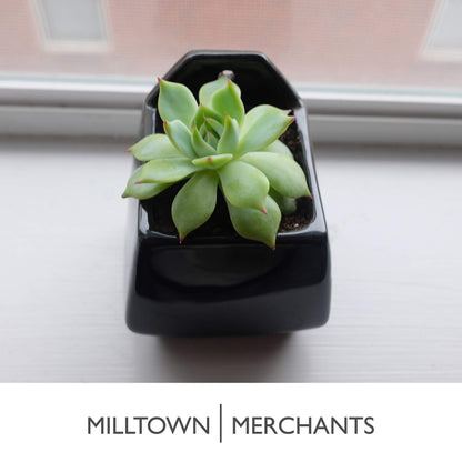 Milltown Merchants Succulent Wall Planters - Wall Vases - Black Ceramic Wall Mounted Planters - Succulent Plant Pots - Hanging Vases for Living Wall (2 Pack/Contemporary/Black)