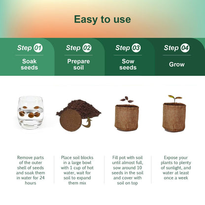 5 Pack Bonsai Tree Kit with Complete Tools, 5X Unique Seeds Bonzai Tree Live Kits, Complete Indoor Bonsai Starter Kit with Wooden Box, Perfect Christmas Garden Gift for Mom, Men, Women, Plant Lover