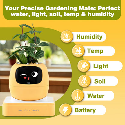 Smart Plant Pot with Visual Display – Soil Moisture, Water Level, Light & Battery Monitor, 80ml Self-Watering Reservoir, Supports 100+ Plants, Pomodoro Timer, Clock & Calendar-Pink-Yellow