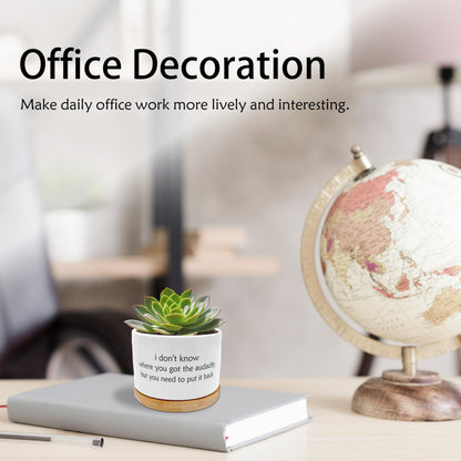 EVIHCG Funny Humorous Saying Planter Pots, Sarcastic I Don't Know Where You Got the Audacity Ceramic Succulent Plant Flower Planters for Home Office Desk Table Shelf(No Plants)