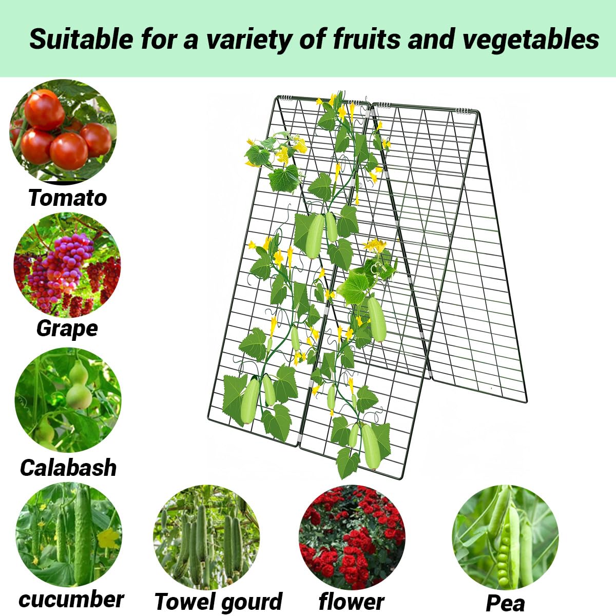 Metal Trellis for Climbing Plants Outdoor Garden Trellis,Cucumber Trellis,Tomato Plant Support/Squash/Zucchini/Sweet Peatrellis,Green Bean/Grape/Vine/Flower Plant Trellis (1pack)