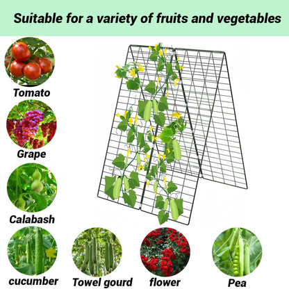 Metal Trellis for Climbing Plants Outdoor Garden Trellis,Cucumber Trellis,Tomato Plant Support/Squash/Zucchini/Sweet Peatrellis,Green Bean/Grape/Vine/Flower Plant Trellis (1pack)