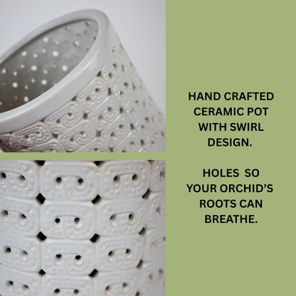 DESQUIGGLE White Ceramic Orchid Planter, 6 Inches Wide, Large Orchid Pots with Holes for Indoors Or Outdoors with Swirl Cut Out Pattern, Orchid Gifts