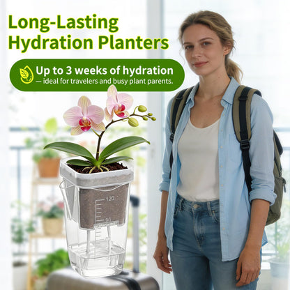 HITOSTAR 12 Pack 2 Inch Mini Clear Self Watering Pots for Indoor Plants, Small Plastic Planters with Drainage, Hydroponic Nursery Propagation Cups, for African Violet Alocasia Pot (2 Inch, 12Pack)