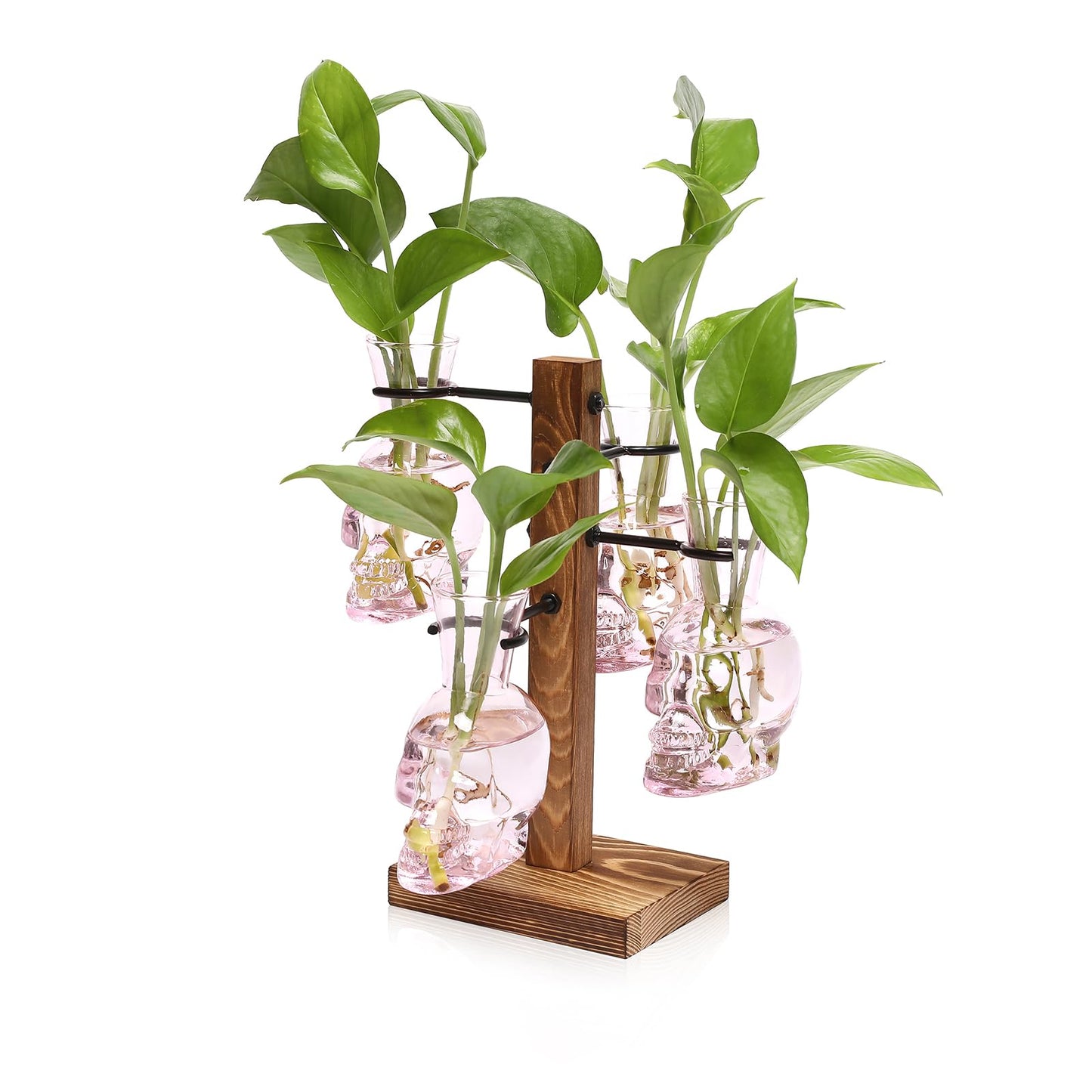 Plants Propagation Stations Skull Glass Propagation Birthday Gift for Women Garden Plant Lovers - 4 Skull